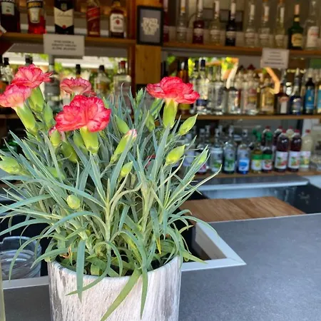 Appartement Platan Vendeghaz Balatongyörök