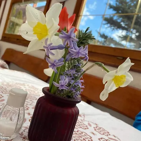 Apartmán Platan Vendeghaz Balatongyörök