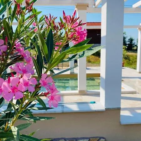 Platan Vendeghaz Apartmán Balatongyörök