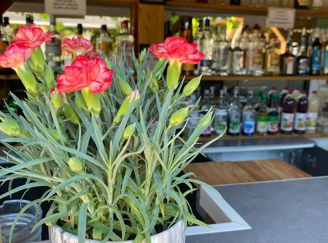 Appartement Platan Vendeghaz Balatongyörök