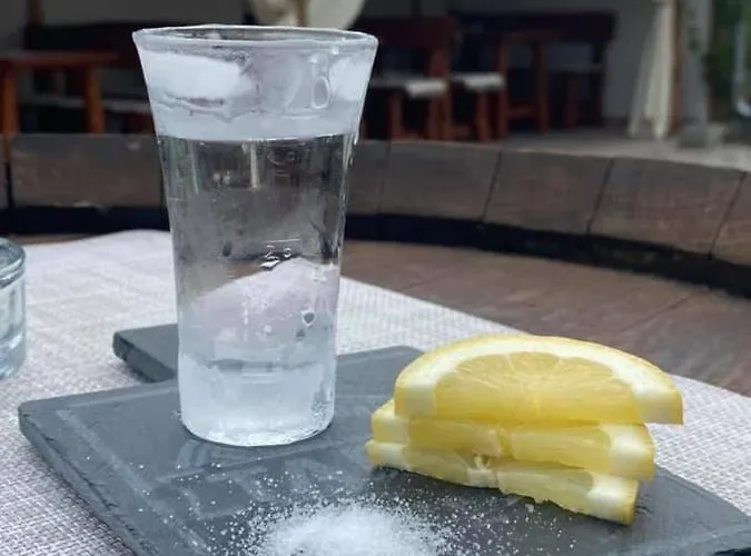 Platan Vendeghaz Apartment