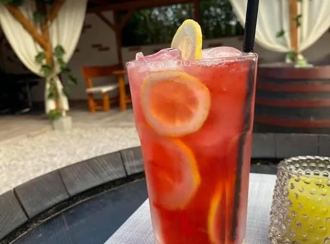 Platan Vendeghaz Balatongyorok