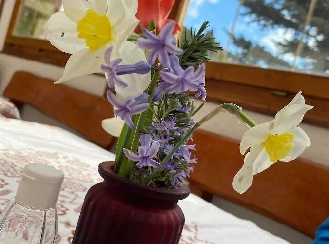 Appartement Platan Vendeghaz Balatongyörök